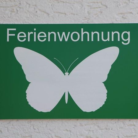 Trendelburg Ferienwohnung Schmetterling מראה חיצוני תמונה